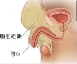 1730078656721504.jpg 1730078656721504.jpg